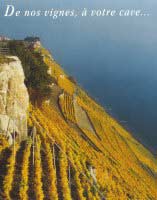 site de Lavaux